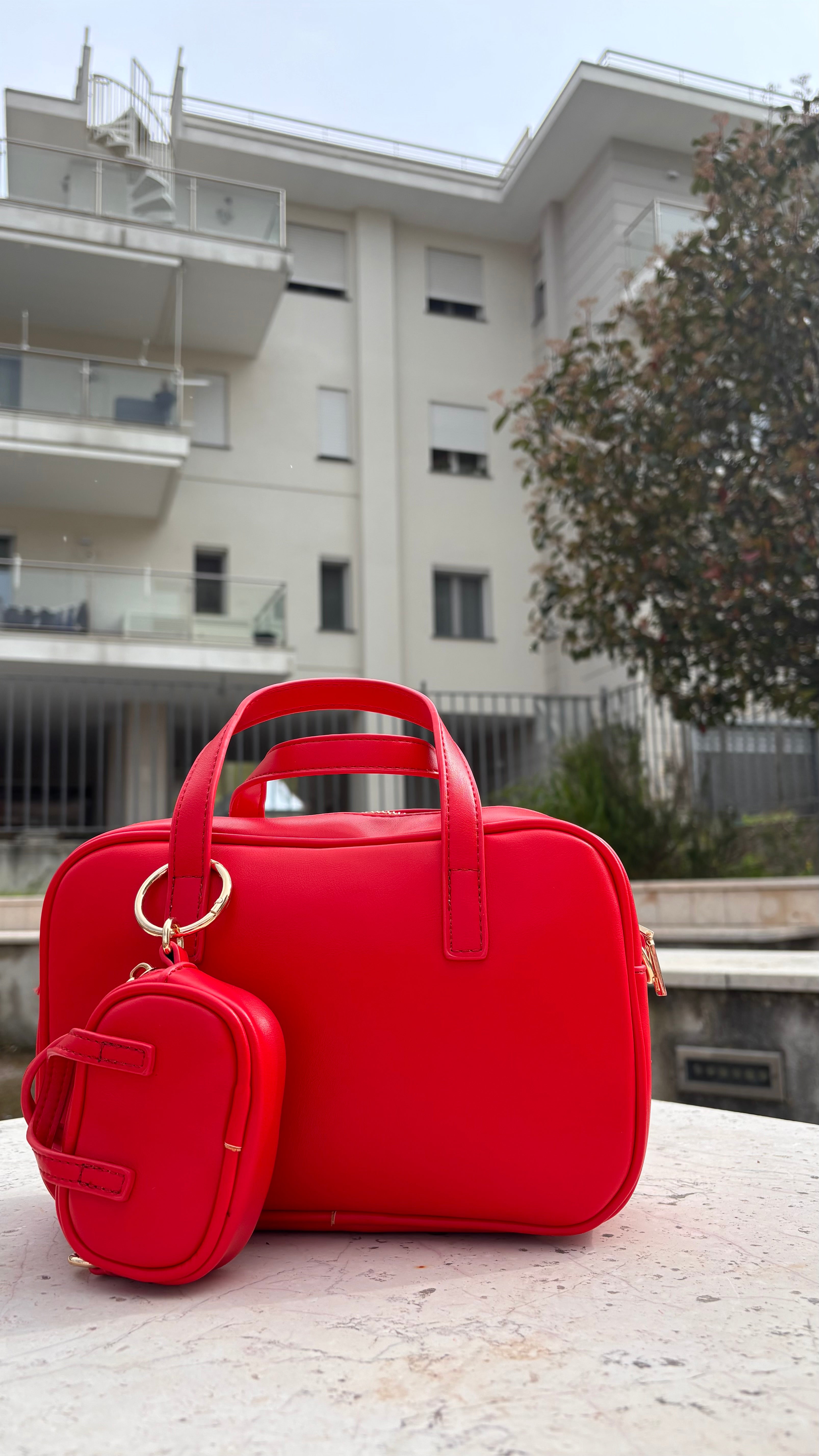 Borsa Dolly